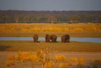 Die Wildnis ruft! - Namibias Top 5 der Nationalparks