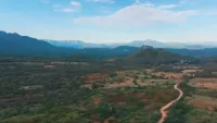 Algo Grande Copper: Phase-II-Bohrungen und neue Porphyr-Ziele am Adelita-Projekt in Mexiko