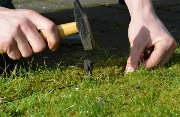 AGRAVIS gibt Tipps für den perfekten Rasen