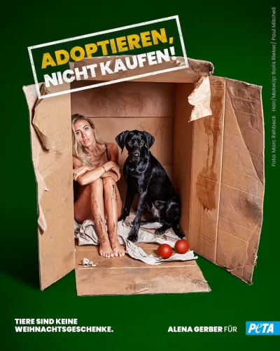 Kauernd und hilflos : "Tiere sind keine Weihnachtsgeschenke!"