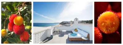 Wenn an der Algarve die Sonne im Meer versinkt, ist es Zeit für...