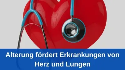 Alterung fördert Erkrankungen von Herz und Lungen