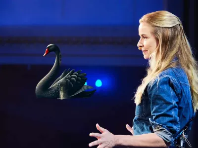 Angela Barzen - Chancen im Schwarzen Schwan Die Bedeutung des Schwarzen Schwans