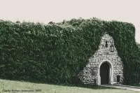 Herbstschnitt für die Hecke