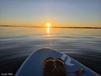 ARAG Experten informieren über SUP-Regeln auf dem Wasser SUP: Zwischen Wellen, Wind und Vorschriften