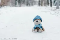 Wintereinbruch: Wenn der Alltag ins Rutschen kommt