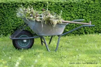 Tag der Nachbarschaft: Was im Garten erlaubt ist