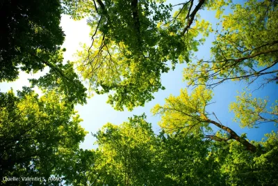 Grillen, Gassi, Gänseblümchen: Was im Park erlaubt ist und was nicht