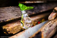 Alte Dinge weiternutzen: Was bei Verschenkekisten & Co. gilt