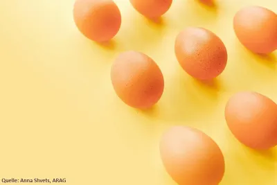 Rechtliches zum Osterfest