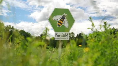 ARCOTEL Hotels & BeeWild: Gemeinsam für den Bienenschutz
