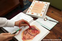 Aurachirurgie in Frankfurt: Energetische Operationen im Zellgedächtnis & professionelle Chakren-Reinigung