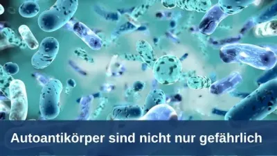 Autoantikörper sind nicht nur gefährlich