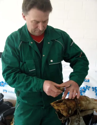 Die Klauen tragen die Milch &ndash; AVA-Klauenorthopädie &amp;amp; Klauenpflegeworkshop für Tierärzte