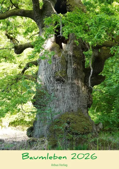 Baumleben 2026 - der besondere Kalender: Eine einzigartige Reise zu uralten Bäumen Deutschlands Baumkalender 2026: "Baumleben 2026" - Einzigartige Hommage an sagenhafte, alte Bäume Deutschlands