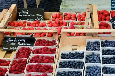 Beerenobstschalen von Pack4Food24 Praktische Verpackungen für Obst und Gemüse in Hofladen und Direktverkauf
