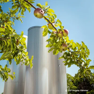 Fruchtsafthersteller keltern 382 Mio. Liter Apfelsaft