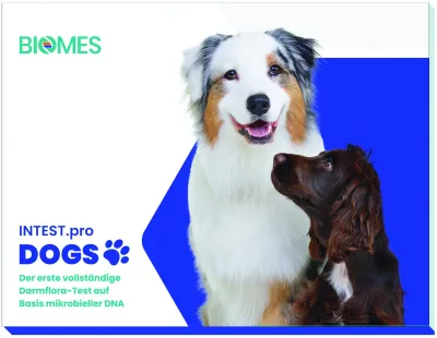 Neuer Darmfloratest für Hunde