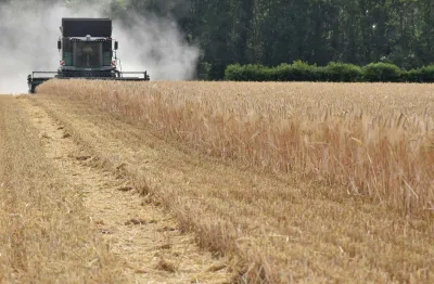 Blick auf die Ernteerwartungen 2023