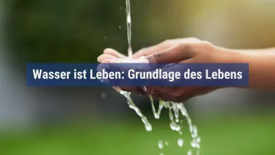 Wasser ist Leben: Grundlage des Lebens