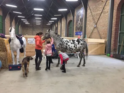 Neue Reitschule für Kinder in Köln Rodenkirchen