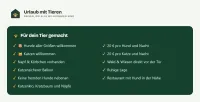 Portal zeigt Katzennetz und Gehege für Urlaub mit Katze
