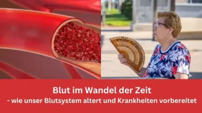 Blut im Wandel der Zeit - wie unser Blutsystem altert und Krankheiten vorbereitet