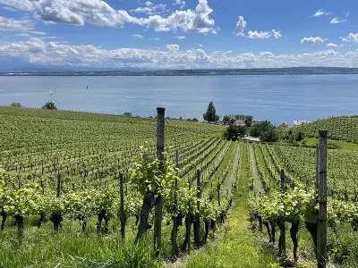 Bodensee Visit Deutschland stellt die Top 10 Sehenswürdigkeiten in Deutschland für das Jahr 2025 vor