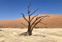 Letzte Chance: Namibia-Sonderreise 2026 mit dem KrautTrotter&reg;-Team