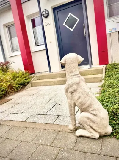 Deichhaus Santa Barbara bis 6 Personen direkt auf dem Deich entspannter Urlaub mit Hund 10 % Rabatt