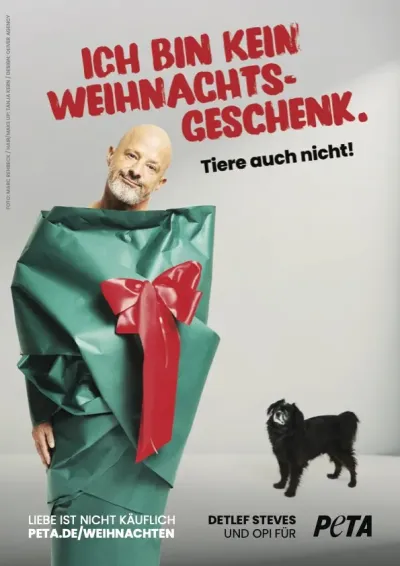 Detlef Steves ist für die neue PETA-Weihnachtskampagne als Geschenk verpackt. Opi wundert das sehr. Verpackt als menschliches Geschenk: TV-Liebling Detlef Steves stellt neues PETA-Motiv vor - Tiere sind keine Weihnachtsgeschenke