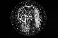 Digitalisierung in der Zahnmedizin Digitalisierung in der Zahnmedizin: Neue Chancen für Implantologie und Parodontologie