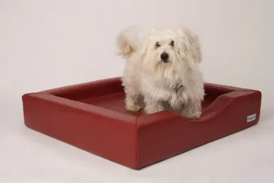 Ausgesuchte Hundebetten für Sie im Angebot