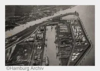 Der Elbwald wird 100 Jahre alt