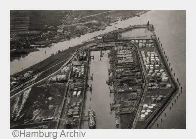 Der Elbwald wird 100 Jahre alt