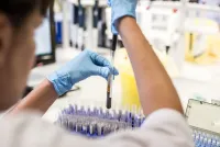 Digitale Vernetzung, menschliche Stärke: Estland verbindet Forschung, Praxis und Politik