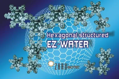 EZ-Water, die Exklusionszone im Wasser und der vierte Aggregatzustand Wassers