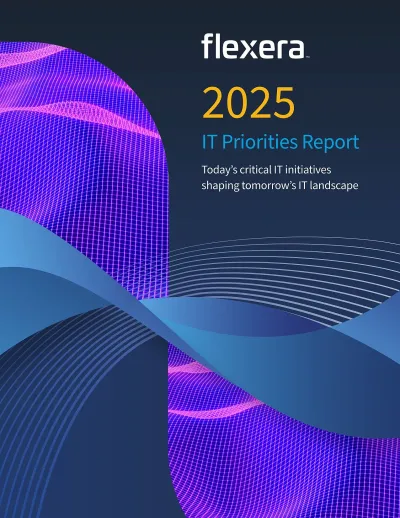 Flexera Report: IT-Prioritäten 2025 - IT-Führungskräfte erwarten massiven KI-Ruck