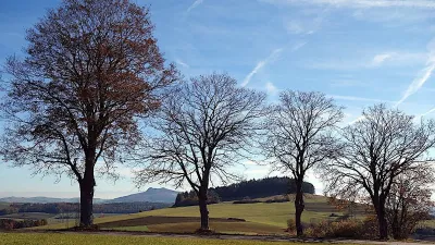 Founder Walks - Bei Spaziergängen Geschäftsideen finden