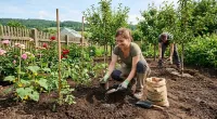 Frühling bis Herbst - Schafwollpellets fördern kräftige Pflanzen