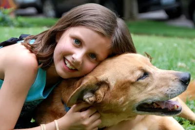 Warum man über hypoallergenes Hundefutter nachdenken sollte