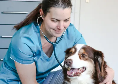 Ganzheitliche Tierärztin Anne-Marie Schmitt HUMANIMAL