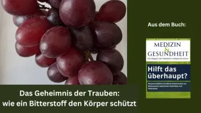 Das Geheimnis der Trauben / Redaktion mediportal-online Das Geheimnis der Trauben: Wie ein Bitterstoff den Körper schützt