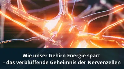 Wie unser Gehirn Energie spart - das verblüffende Geheimnis der Nervenzellen