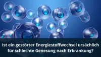 Ist ein gestörter Energiestoffwechsel ursächlich für schlechte Genesung nach Erkrankung?