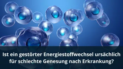 Ist ein gestörter Energiestoffwechsel ursächlich für schlechte Genesung nach Erkrankung?