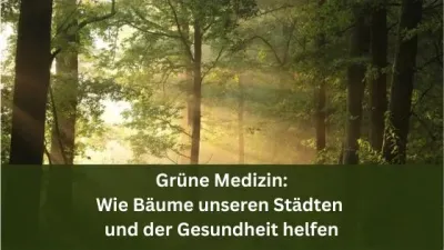 Grüne Medizin: Wie Bäume unseren Städten und der Gesundheit helfen / Redaktion bioresonanz-zukunft Grüne Medizin: Wie Bäume unseren Städten und der Gesundheit helfen