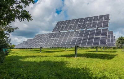 GSD-Naturenergie GmbH investiert international über verbundene Unternehmen auch in Solarkraftwerke. "Jeder Zähler ein Baum": Ökostromanbieter forstet die Heimat auf