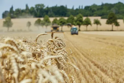 Gute Aussichten für die Ernte 2025