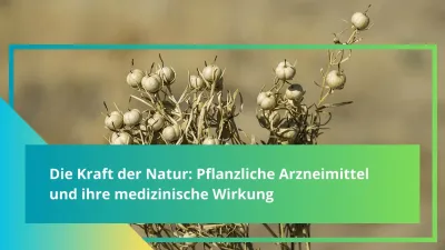 Die Kraft der Natur: Pflanzliche Arzneimittel und ihre medizinische Wirkung